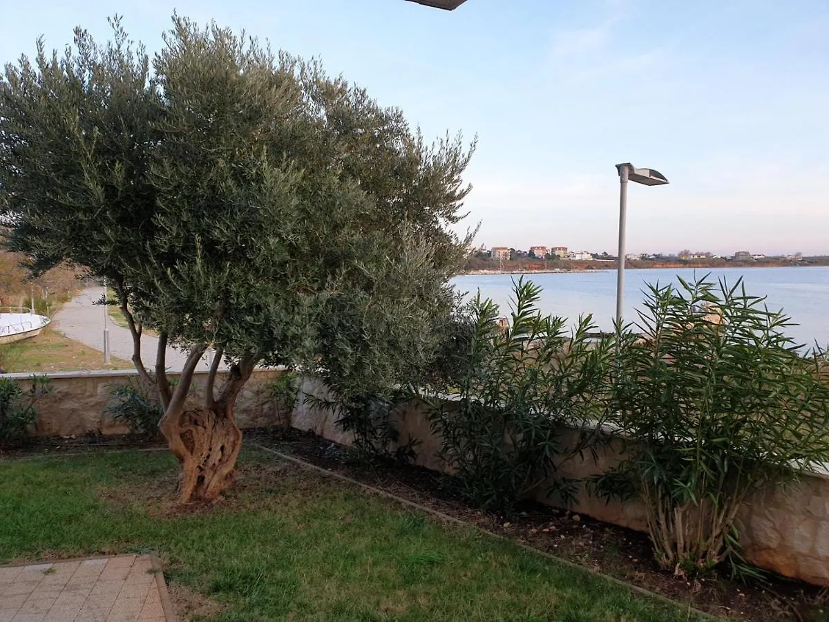 Summertime Apartmani Povljana